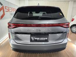 GWM - HAVAL - 2023/2024 - Cinza - Sob Consulta
